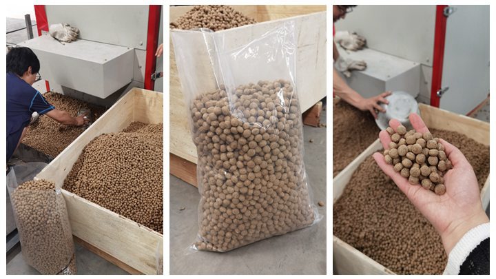 <h3>Brand new tropical fish feed pellet machine in Ghana</h3>
